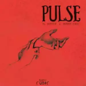 M.Patrick X Murphy Cubic - Pulse (Original Mix)